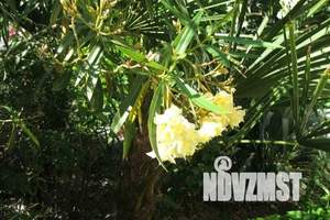 Дом 25м², 1-этажный, посуточно,