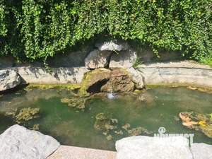 Дом 380м², 3-этажный, посуточно,