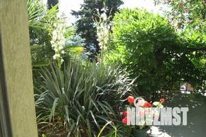 Дом 25м², 1-этажный, посуточно,