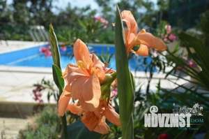 Дом 353м², 4-этажный, посуточно,