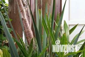 Дом 16м², 1-этажный, посуточно,