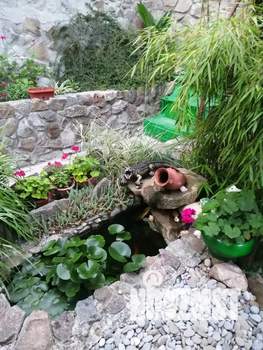 Дом 30м², 1-этажный, посуточно,