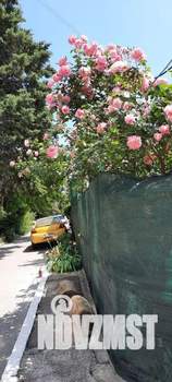 Дом 26м², 1-этажный, посуточно,