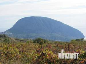 Дом 26м², 1-этажный, посуточно,