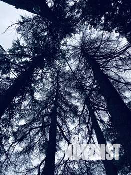 Дом 70м², 2-этажный, посуточно,