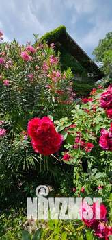 Дом 300м², 3-этажный, посуточно,