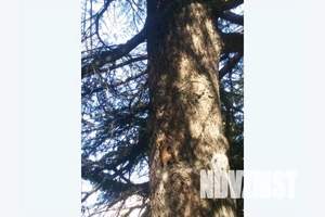 Дом 48м², 1-этажный, посуточно,