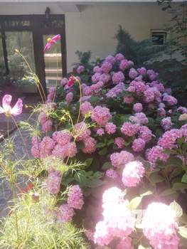 Дом 250м², 2-этажный, посуточно,