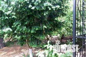 Дом 48м², 1-этажный, посуточно,