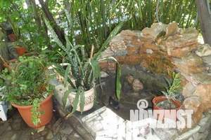 Дом 60м², 2-этажный, посуточно,