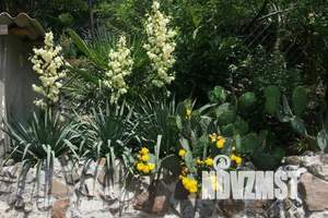 Дом 25м², 1-этажный, посуточно,