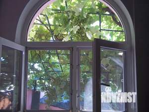 Дом 50м², 2-этажный, посуточно,