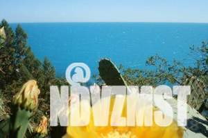 Дом 45м², 1-этажный, посуточно,