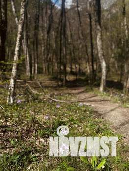 Дом 30м², 2-этажный, на длительный срок,