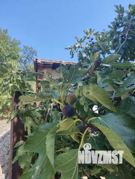 Дом 66м², 1-этажный, участок 8 сот.