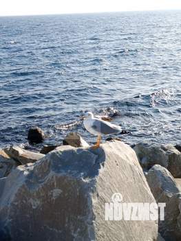 Дом 40м², 1-этажный, участок 4 сот.