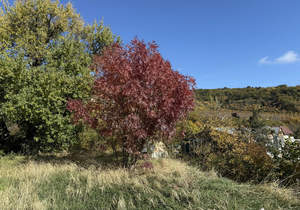 Дом 216м², 2-этажный, участок 6 сот.