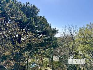 Дом 219м², 2-этажный, участок 3 сот.