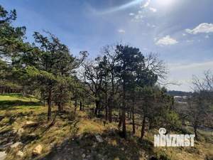 Дом 250м², 3-этажный, участок 3 сот.