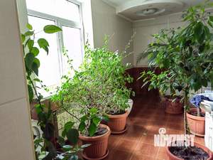 Дом 490м², 4-этажный, участок 5 сот.