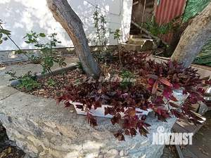 Дом 55м², 2-этажный, участок 2 сот.