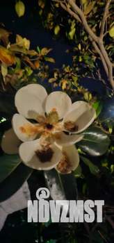 Дом 185м², 3-этажный, посуточно, 