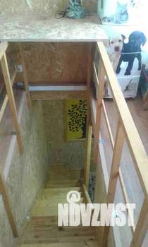 Дом 25м², 1-этажный, посуточно, 