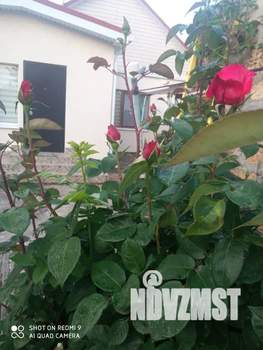 Дом 30м&sup2;, 1-этажный, посуточно, 