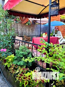 Дом 18м², 1-этажный, посуточно, 