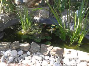 Дом 110м², 1-этажный, посуточно, 