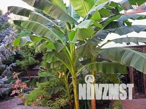 Дом 250м&sup2;, 3-этажный, посуточно, 