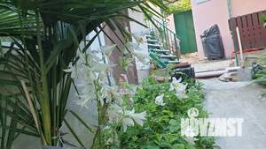 Дом 25м&sup2;, 2-этажный, посуточно, 