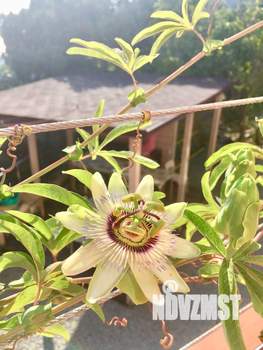 Дом 200м&sup2;, 3-этажный, посуточно, 