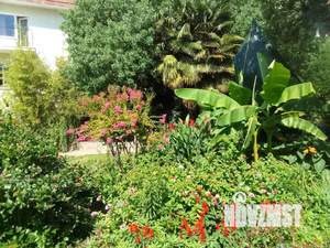 Дом 280м&sup2;, 3-этажный, посуточно, 