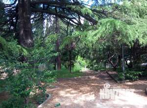 Дом 48м&sup2;, 1-этажный, посуточно, 