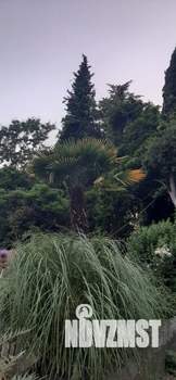 Дом 65м&sup2;, 2-этажный, посуточно, 