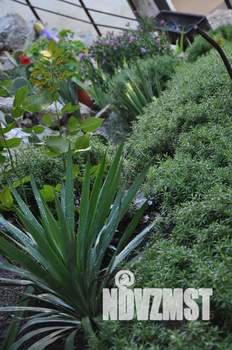 Дом 80м&sup2;, 3-этажный, посуточно, 