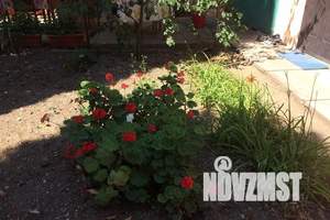 Дом 20м&sup2;, 1-этажный, посуточно, 