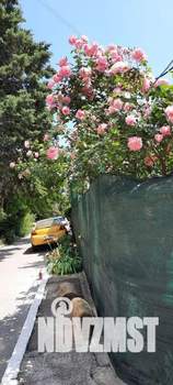 Дом 26м&sup2;, 1-этажный, посуточно, 