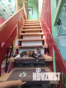 Дом 30м&sup2;, 2-этажный, посуточно, 