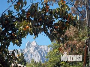 Дом 50м², 2-этажный, посуточно, 