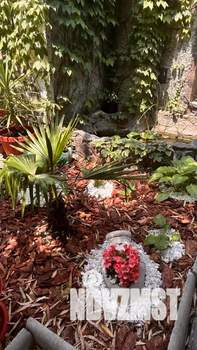 Дом 80м&sup2;, 2-этажный, посуточно, 