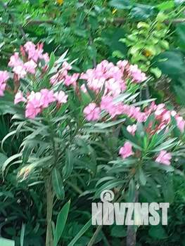 Дом 30м&sup2;, 1-этажный, посуточно, 