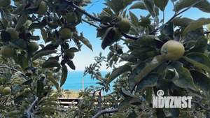 Дом 240м&sup2;, 3-этажный, посуточно, 