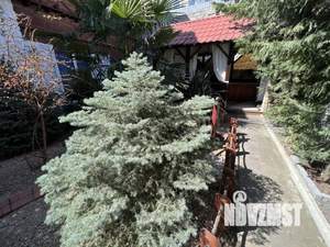 Дом 40м², 2-этажный, посуточно, 