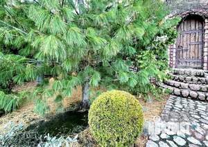 Дом 325м&sup2;, 4-этажный, посуточно, 