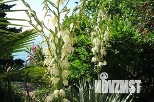 Дом 25м&sup2;, 1-этажный, посуточно, 