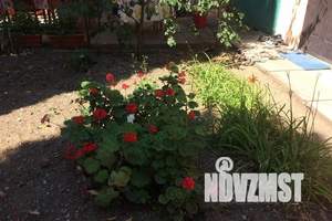 Дом 30м&sup2;, 1-этажный, посуточно, 