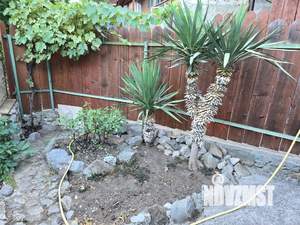 Дом 17м&sup2;, 1-этажный, посуточно, 