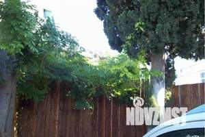 Дом 50м², 1-этажный, посуточно, 